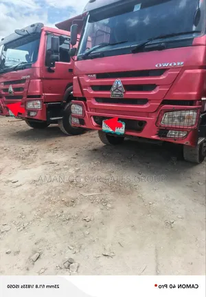 Cinotruck. 2024. Bank. 6m