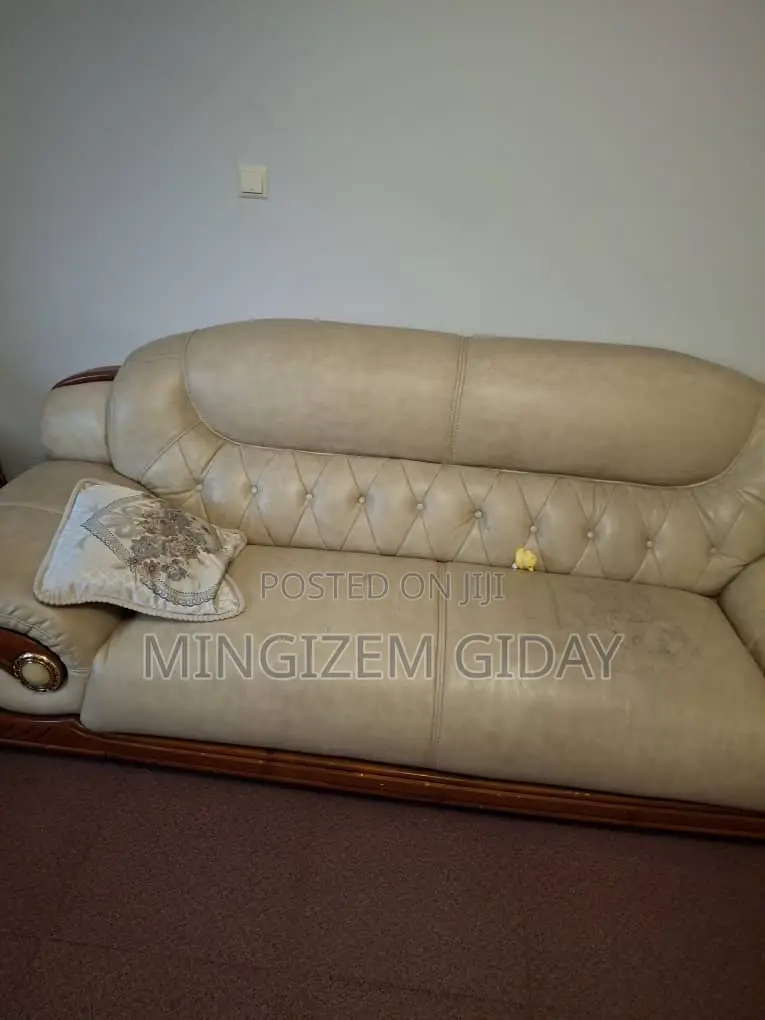 2 Used Sofa for Living and Family Rooms