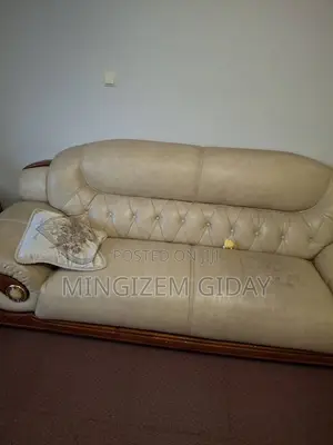 2 Used Sofa for Living and Family Rooms