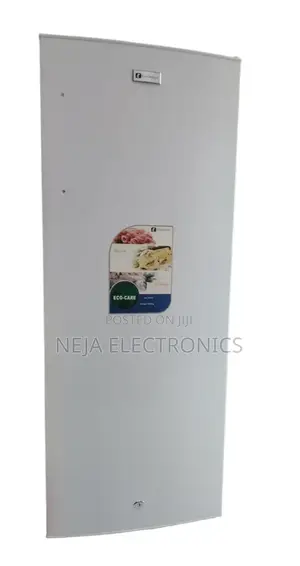 Standing Chest Freezers 430-Litters Delivery