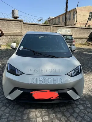 BYD Seagull 30 kWh FWD 2024 Off white