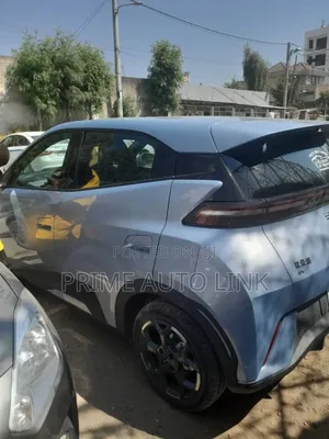 BYD Seagull 38 kWh FWD 2024 Blue