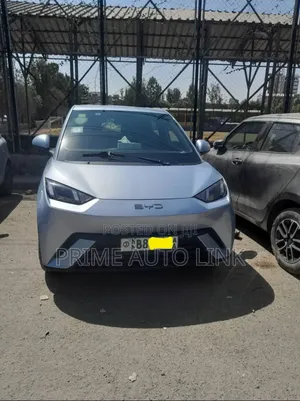BYD Seagull 38 kWh FWD 2024 Blue