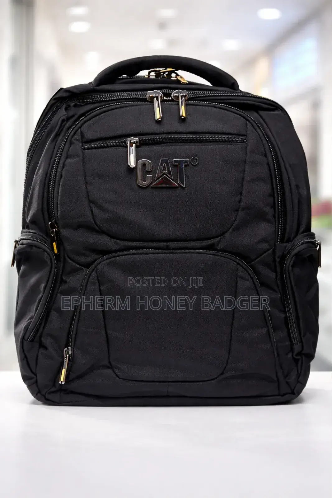 Cat Backpack Laptop Bag