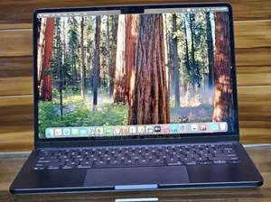 New Laptop Apple MacBook Air 2025 M4 13-inch 16GB Apple M4 SSD 256GB