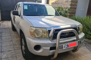 Toyota Tacoma 2007 Gray