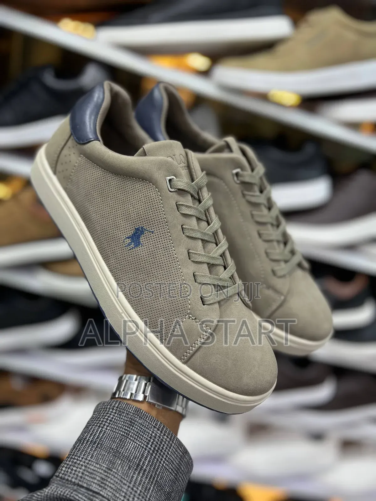 Polo Wl Gray High Master Quality for Man's