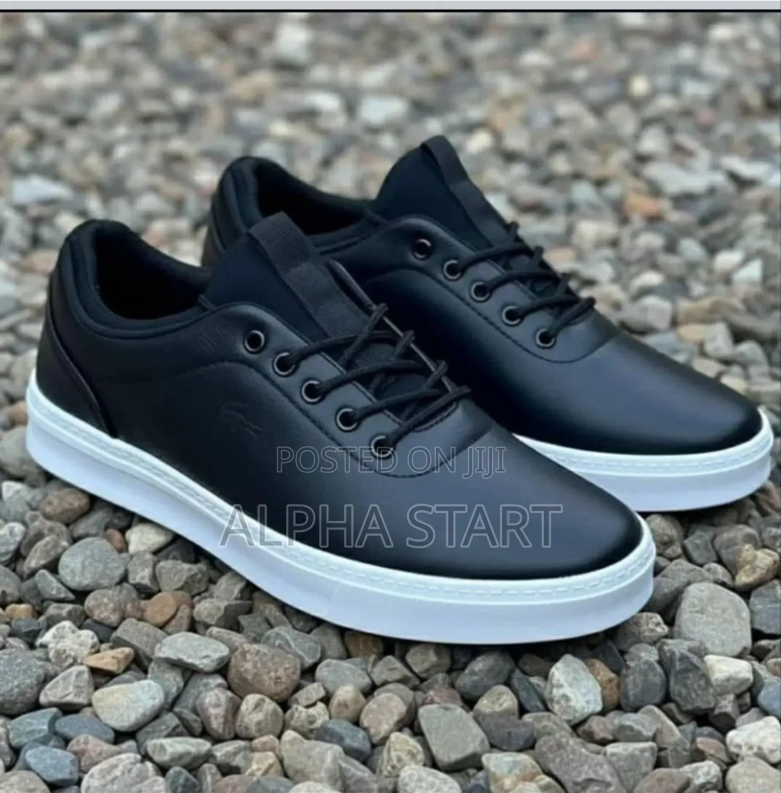 Lacoste Jojo High Master Quality Smooth Sneakres for Man's