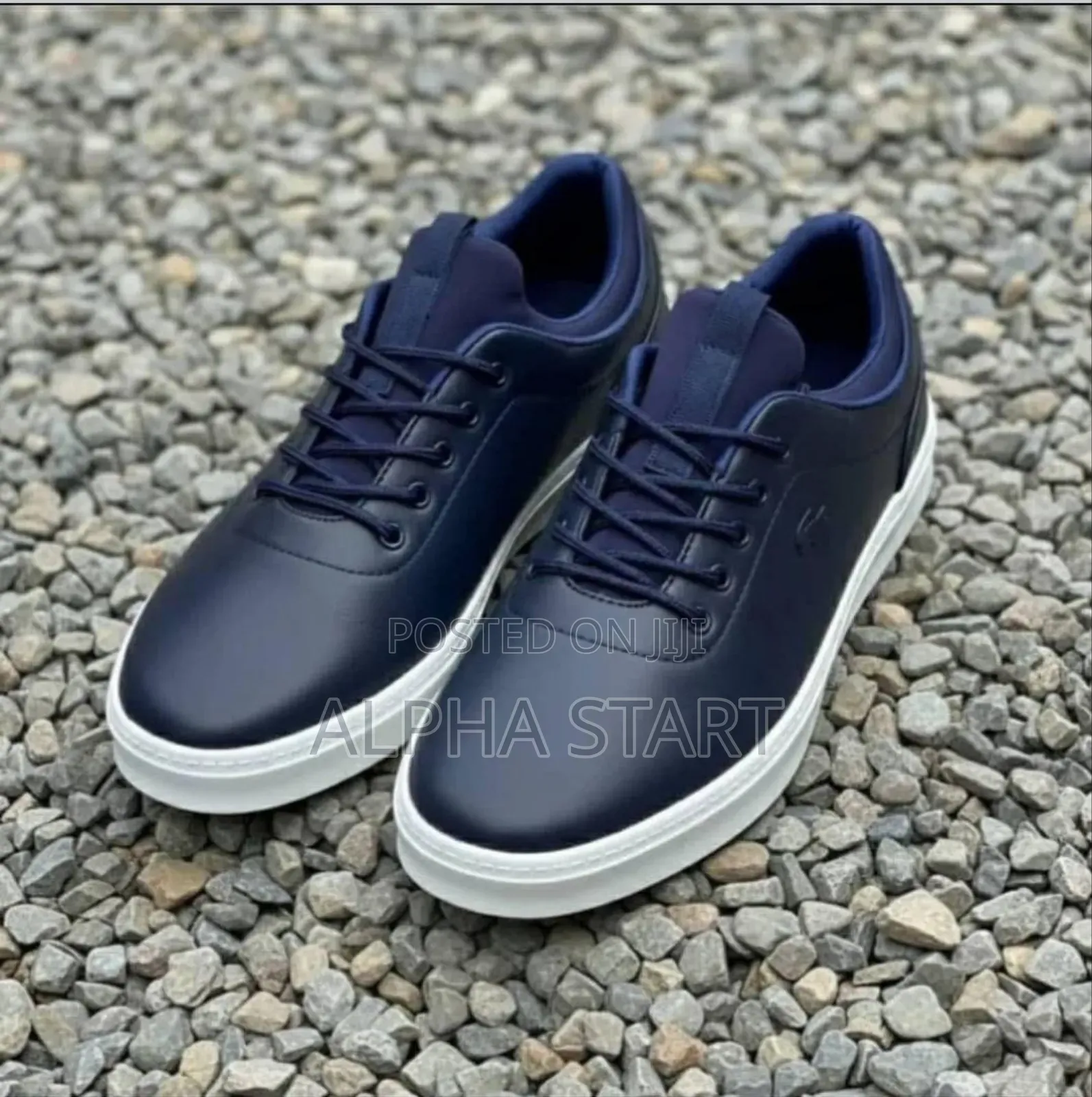 Lacoste Jojo High Master Quality Smooth Sneakres for Man's