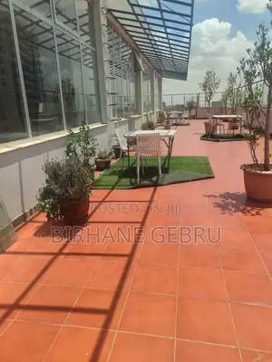 Furnished 3bdrm Apartment in Luxury Fernished, Kirkos for rent