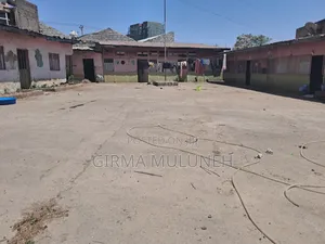 CMC ሚካኤል አሰፓልት ዳር የሚሸጥ መሬት