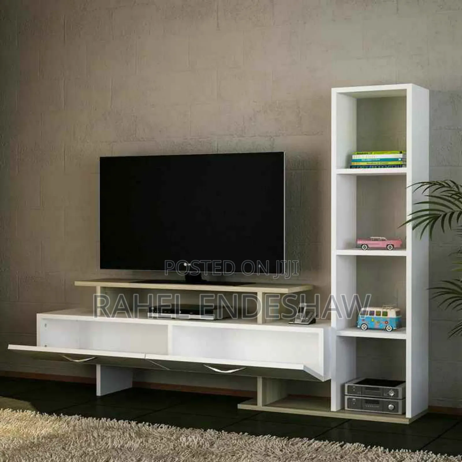 Moder Tv Stand