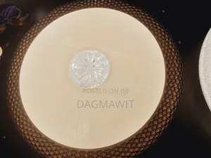 Ceiling Light