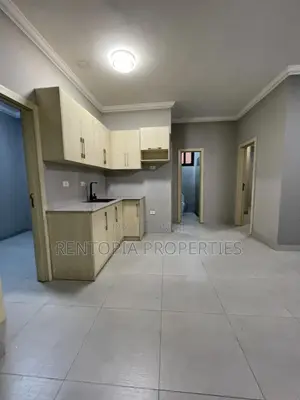 2bdrm Apartment in Lideta for rent