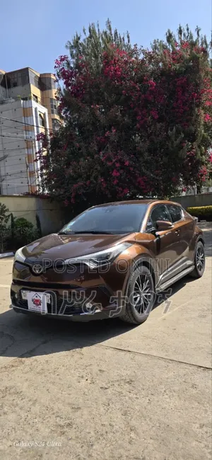 Toyota C-HR 2017 Brown