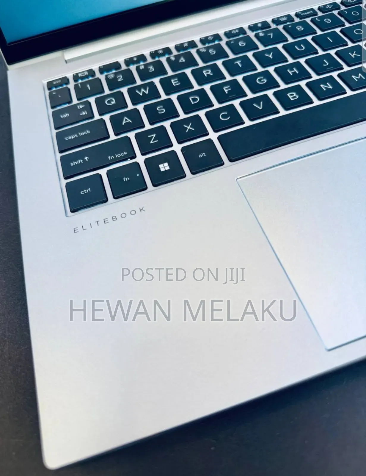New Laptop HP EliteBook 845 G11 16GB AMD Ryzen 5 SSD 512GB