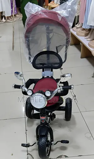 2 in 1 Tricycle /Bicycle