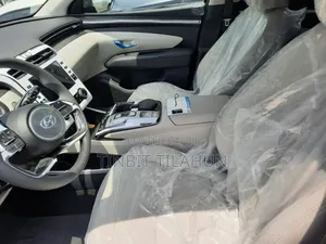 Hyundai Tucson 2021 Gray