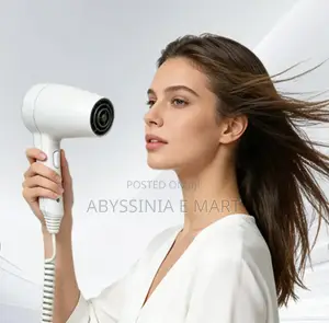 Wall Mounted Original Hair Dryer