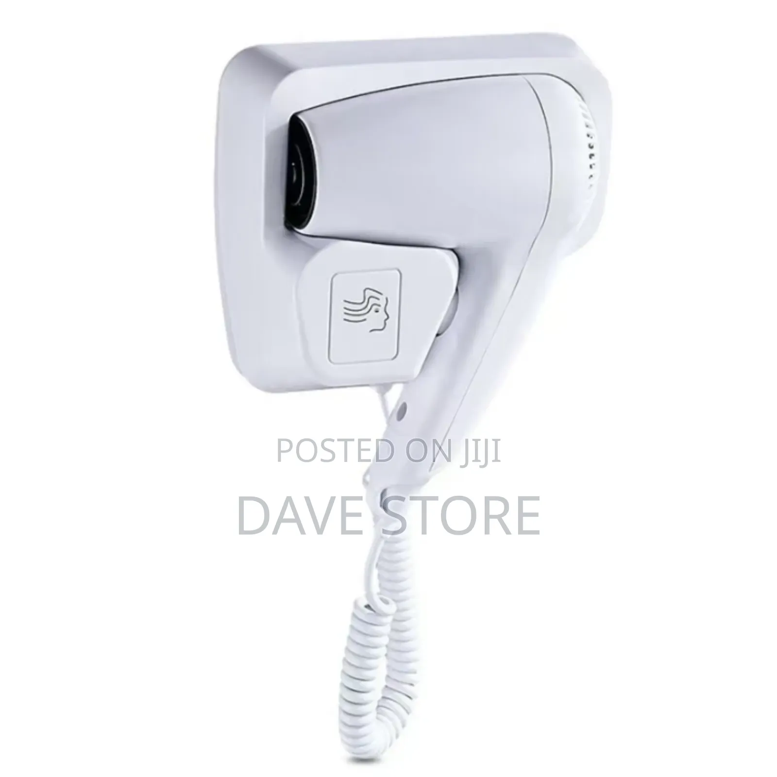 Wall Mounted Hair Dryer
