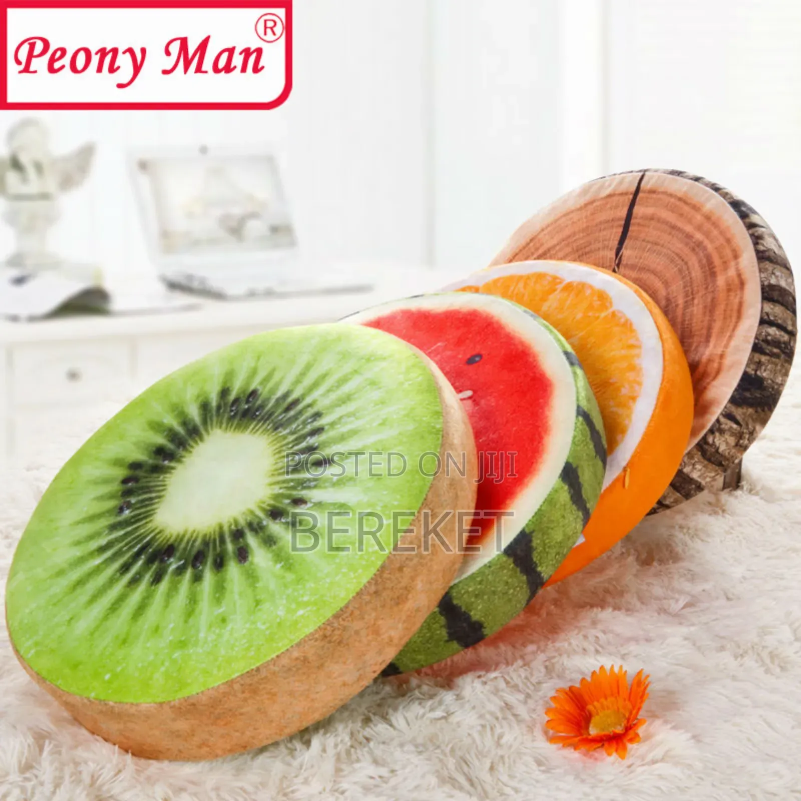 Chaer Pillow