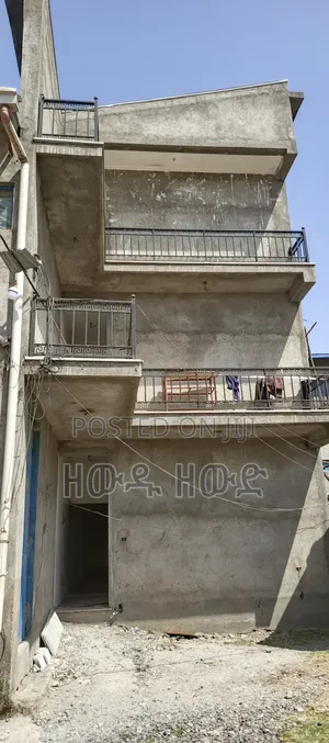 የሚከራይ መጋዝን