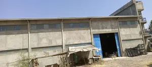የሚከራይ መጋዝን