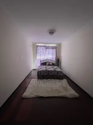 Furnished 3bdrm Apartment in Bole for rent