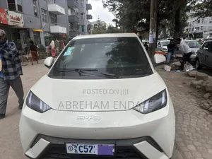 New BYD E1 2024 Gray