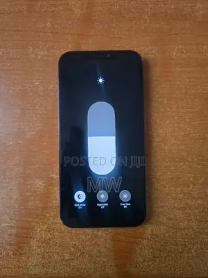 Apple iPhone 12 Pro Max 256 GB Blue