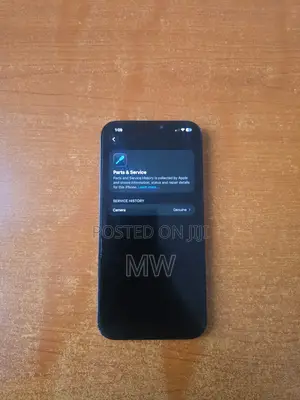 Apple iPhone 12 Pro Max 256 GB Blue