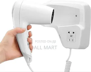Wall Mounted Hair Dryer