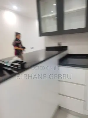 Furnished 2bdrm Apartment in Luxury Apartiment, Kirkos for rent