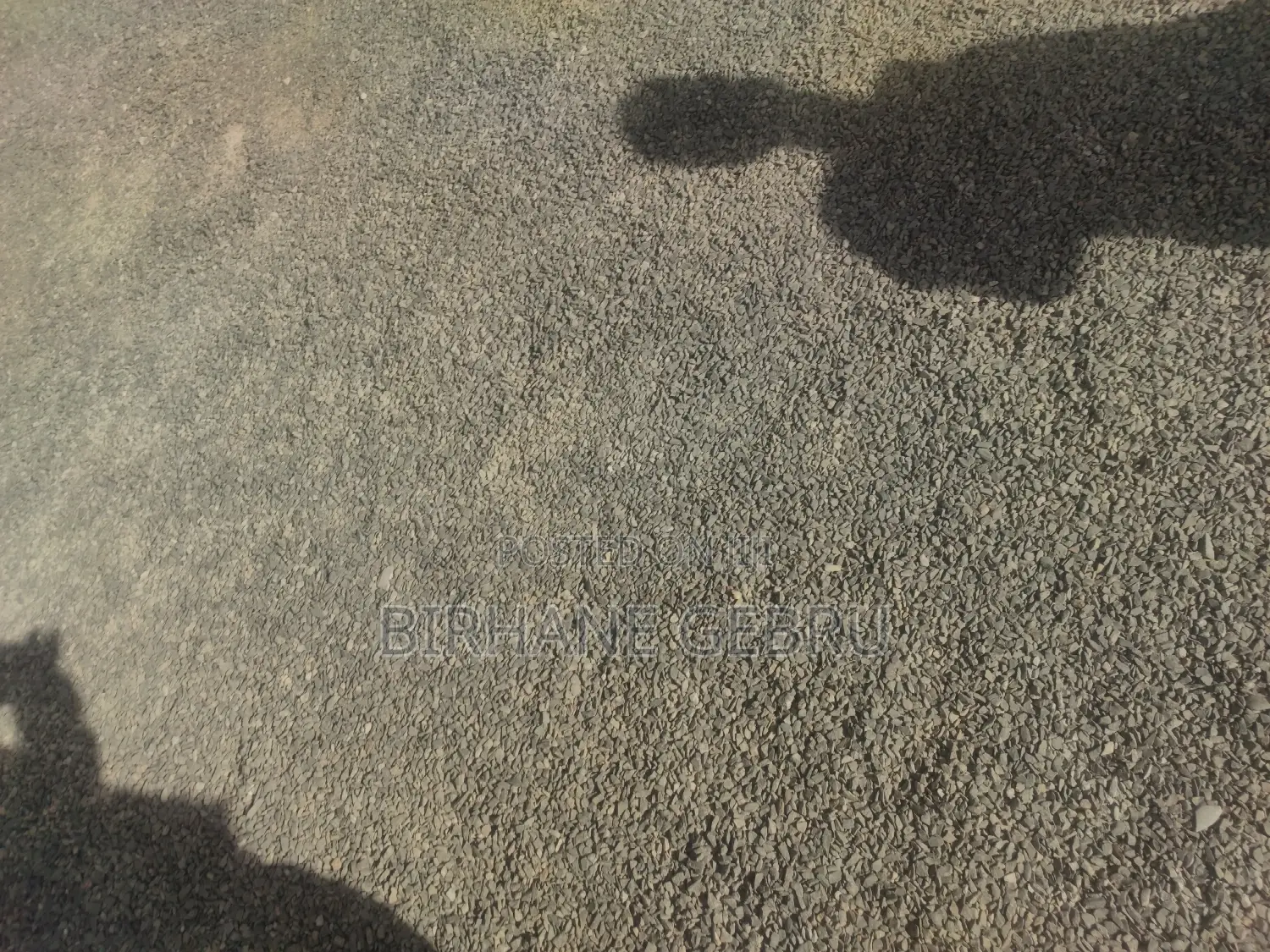 Car Show Room for Rent