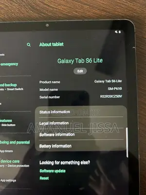 Samsung Galaxy Tab S6 Lite 64 GB Blue