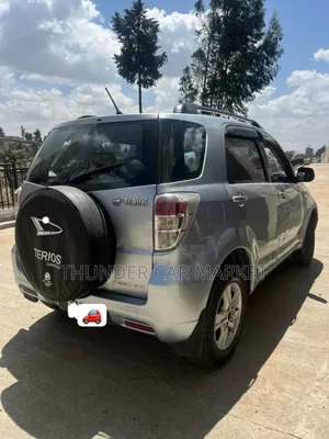 Daihatsu Terios 2009 Silver