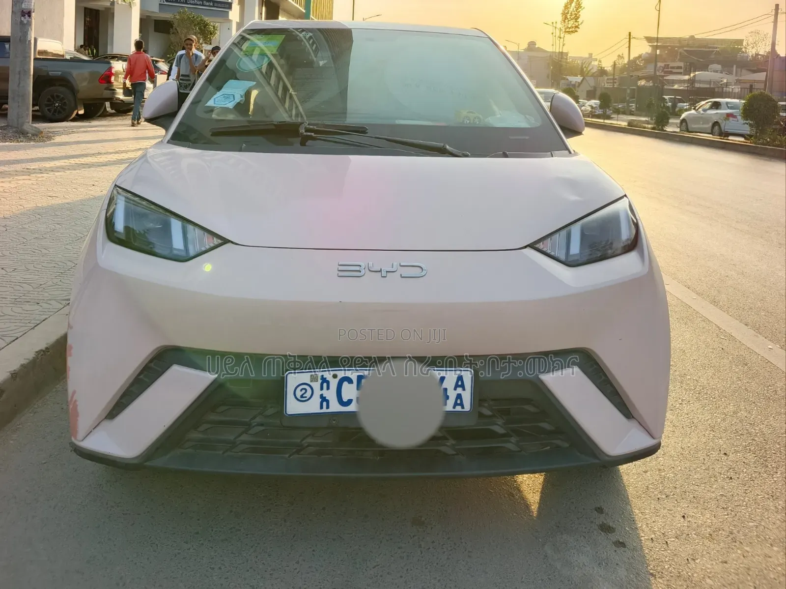 BYD Seagull 2024 Teal