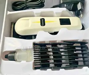 Geemy Gm-6008 Professional Hair Clipper.