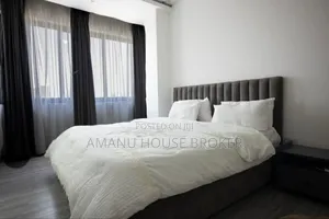 Furnished 3bdrm Apartment in Addos Abeba, Kirkos for rent