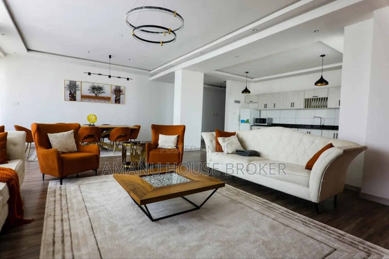 Furnished 3bdrm Apartment in Addos Abeba, Kirkos for rent