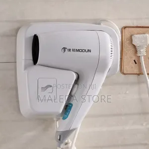 Wall Mounted Hair Dryer