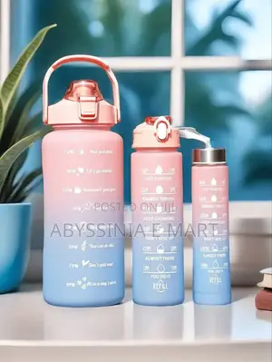 3-in-1 Quality Water Bottle
