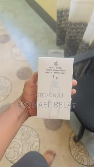 iPhone Charger