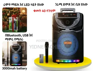 ማይክራፎን ያለው ብሉቱዝ ስፒከር