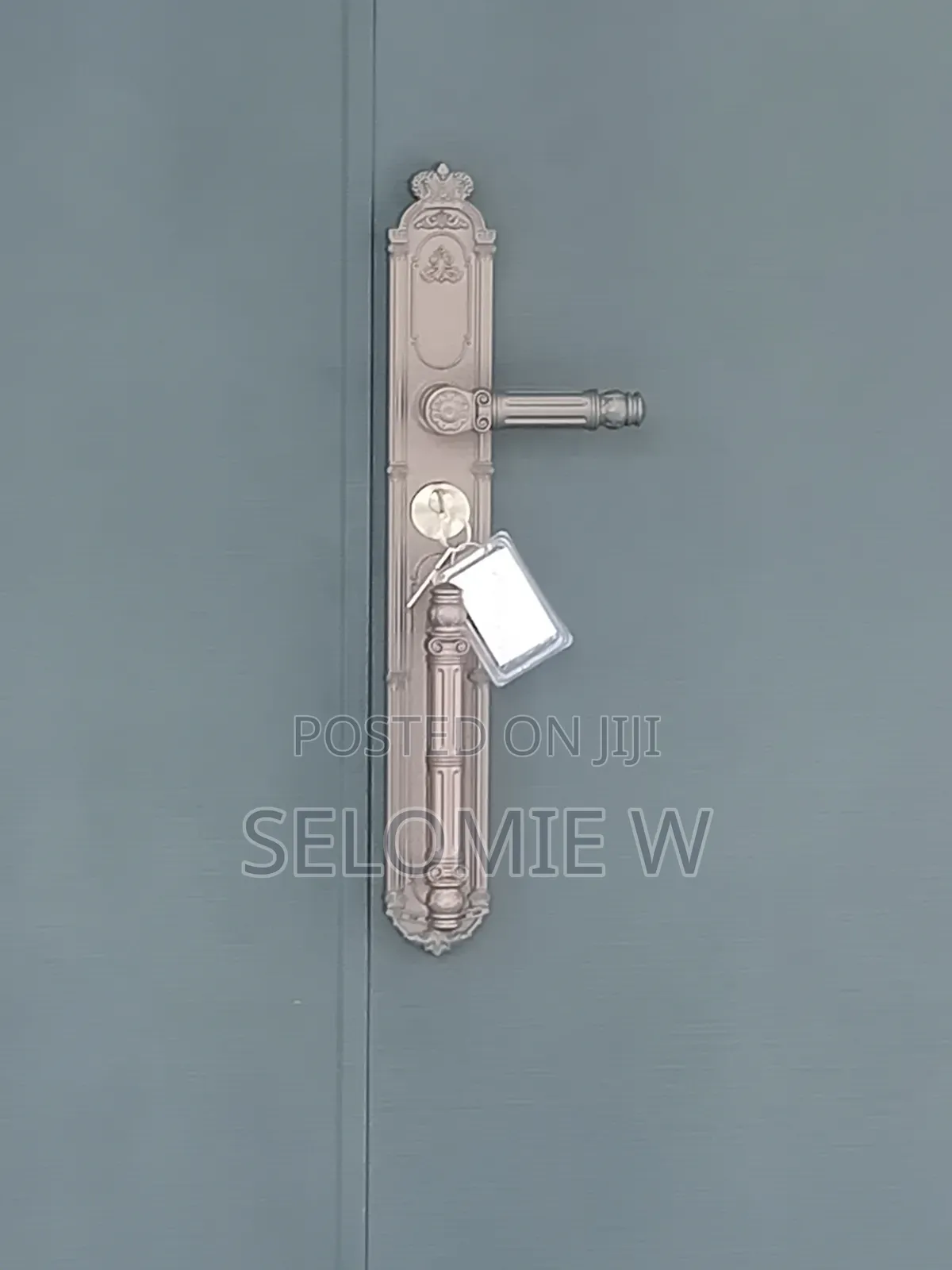 Kingsteel Luxurious Security Door