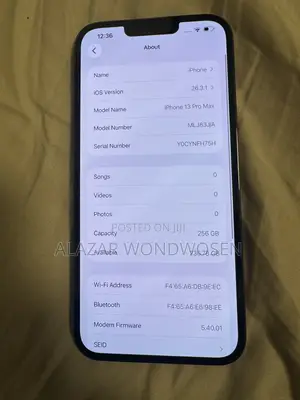 Apple iPhone 13 Pro Max 256 GB Gray