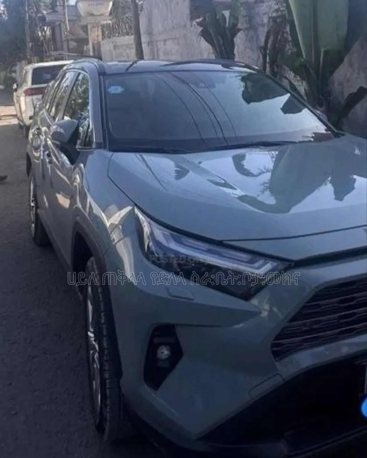 Toyota RAV4 Hybrid 2024 Teal