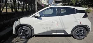 BYD Seagull 38 kWh FWD 2024 White