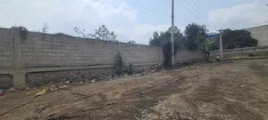 የሚሸጥ ለመጋዘን ፍቃድ የለዉ