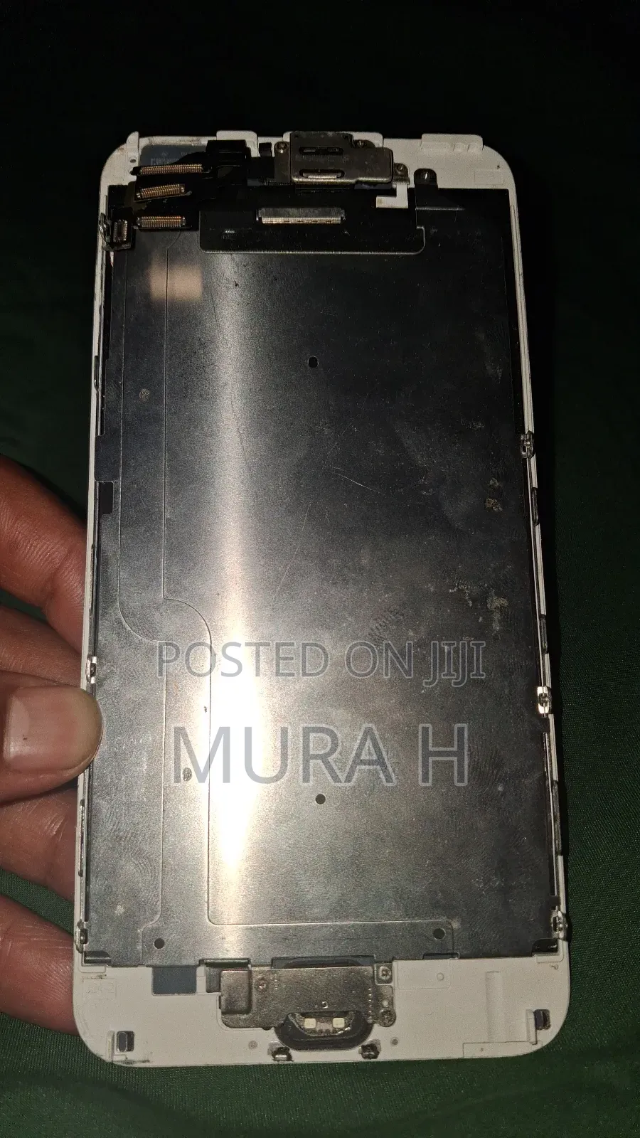 iPhone 6+ Screen